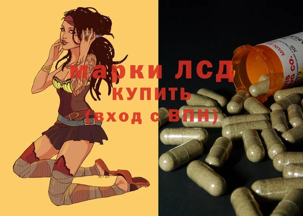 PSILOCYBIN Лихославль